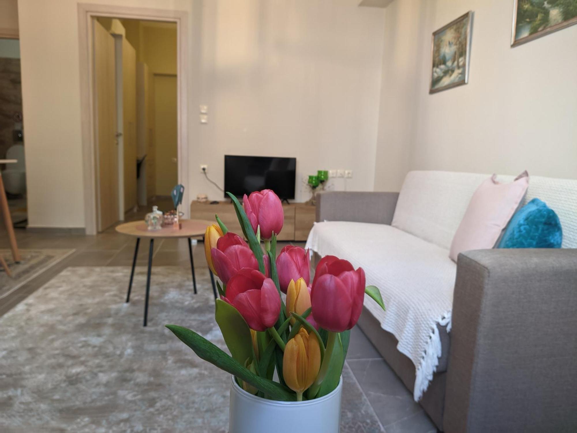 Aristo Central Apartments Янина Екстериор снимка