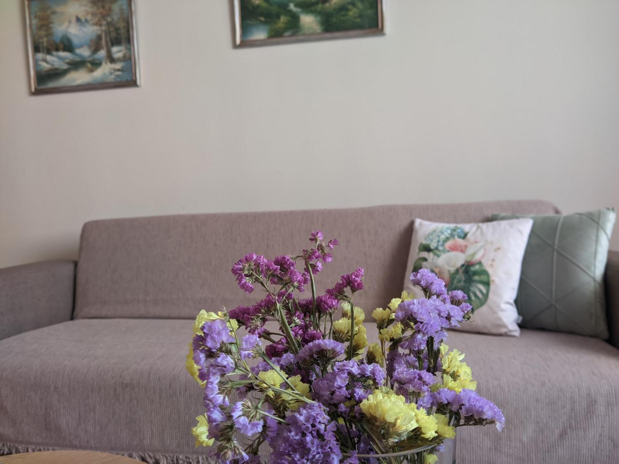 Aristo Central Apartments Янина Екстериор снимка